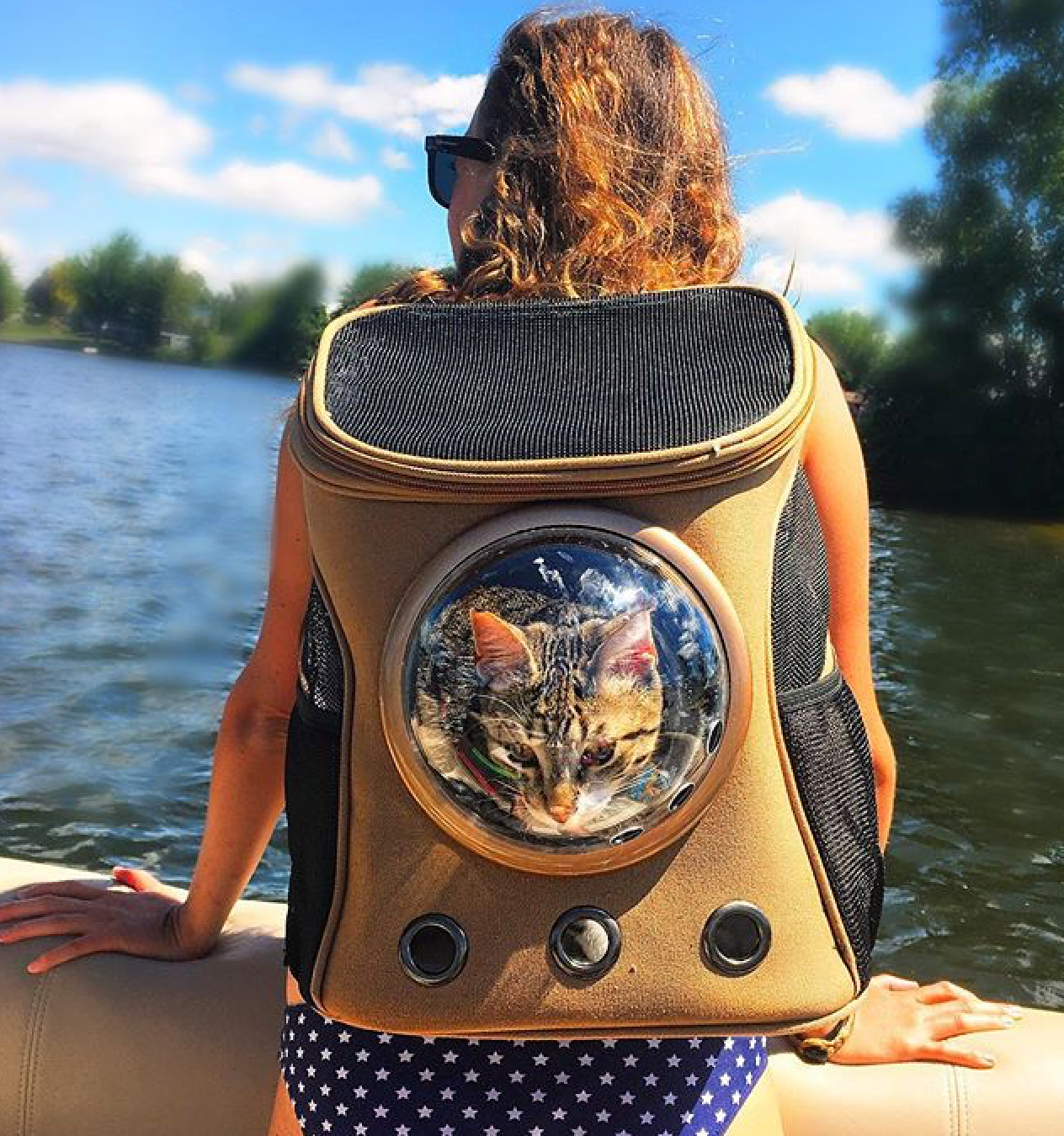 Cat astronaut backpack online