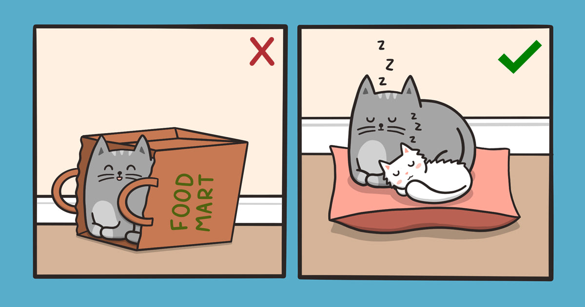 reasons to get a cat on X:  / X