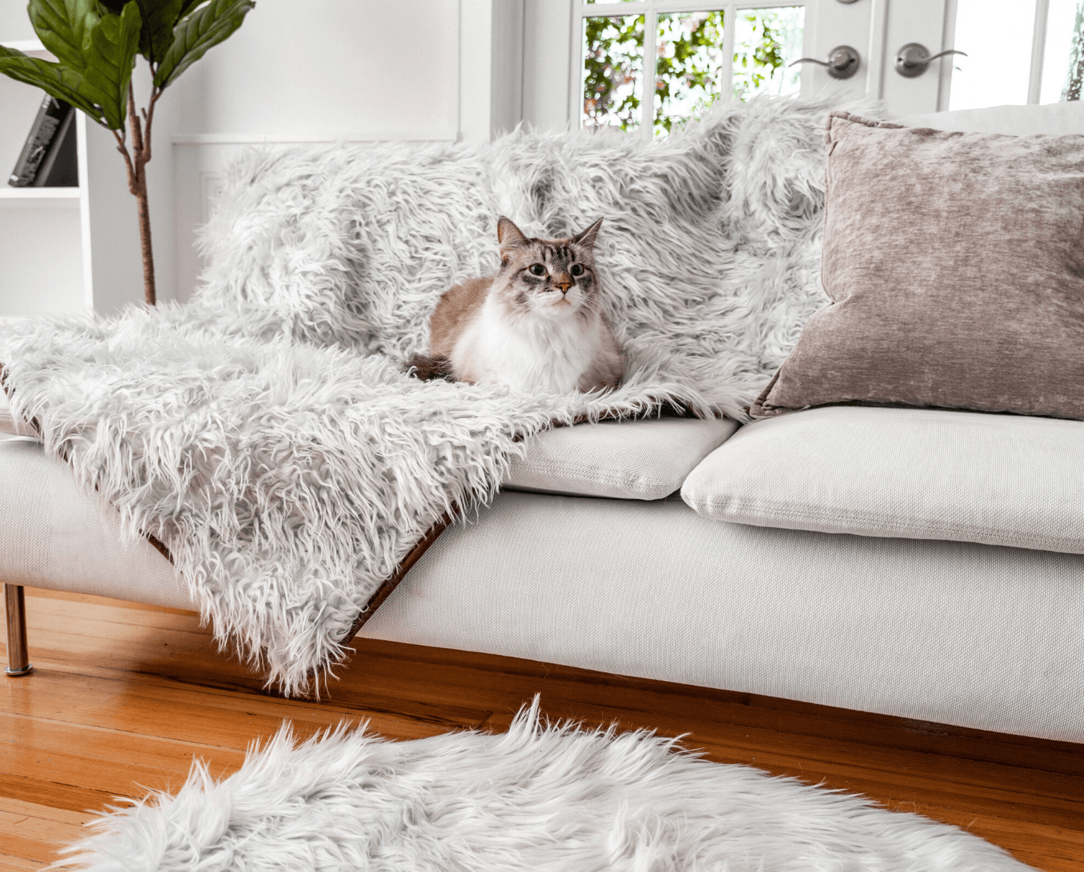 Tri Cat Blanket grey