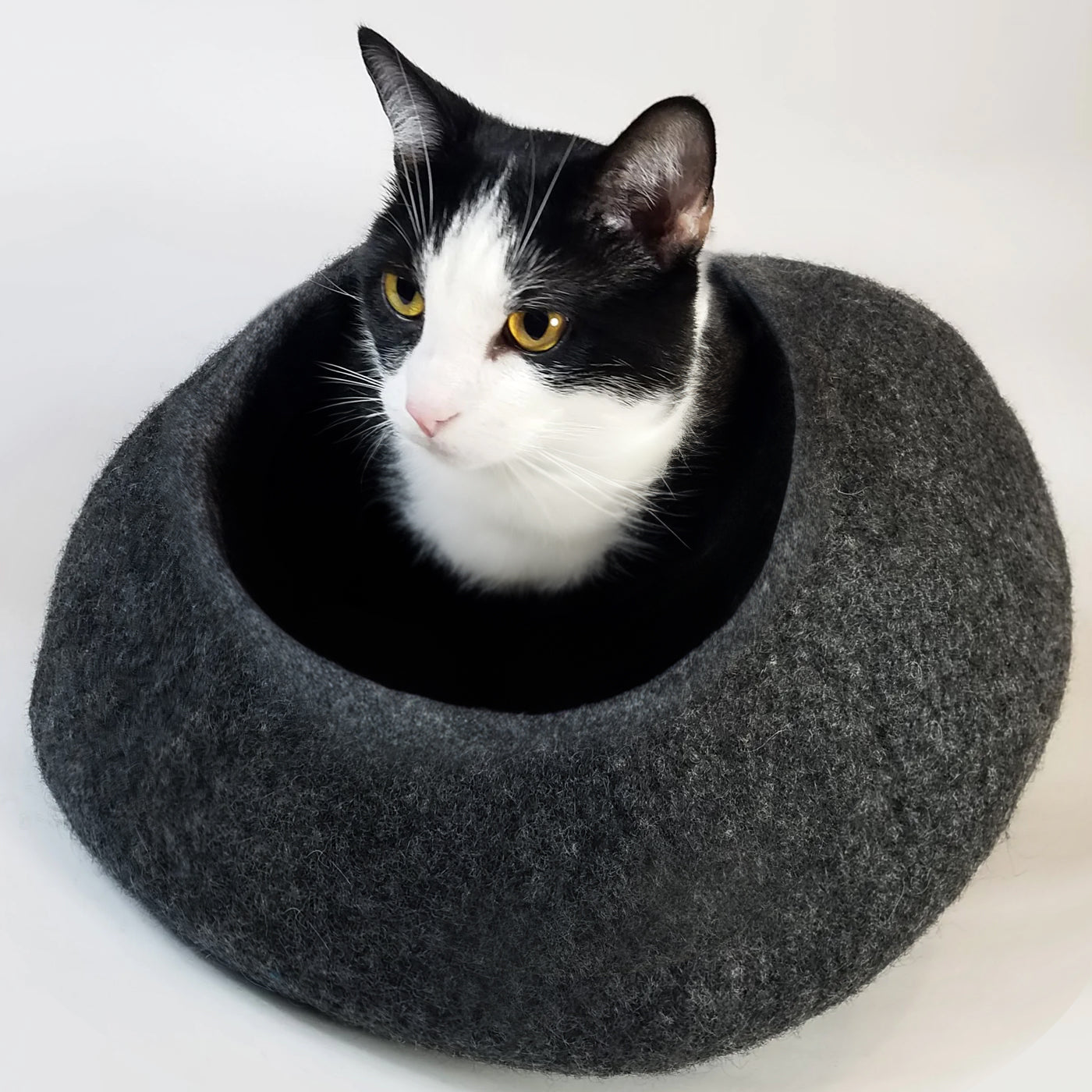 Organic cat bed sale