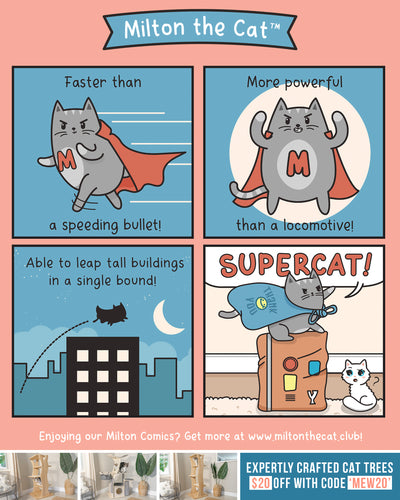 SuperCat!