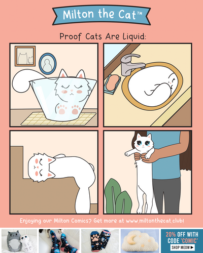 Cats Are Liquids