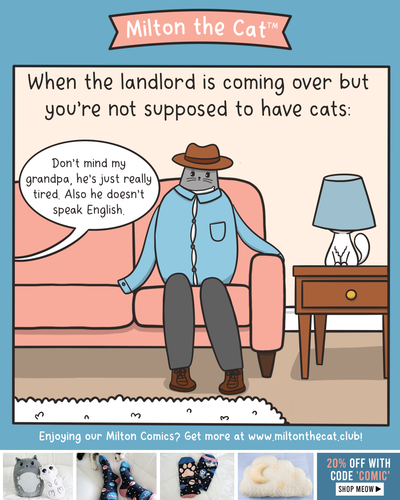 #TBT: Landlord Shenanigans