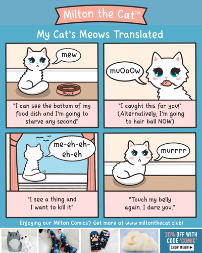 Translating A Cat's Meows