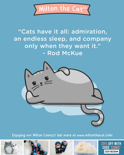 Wednesday Wisdom: Cats Have It All