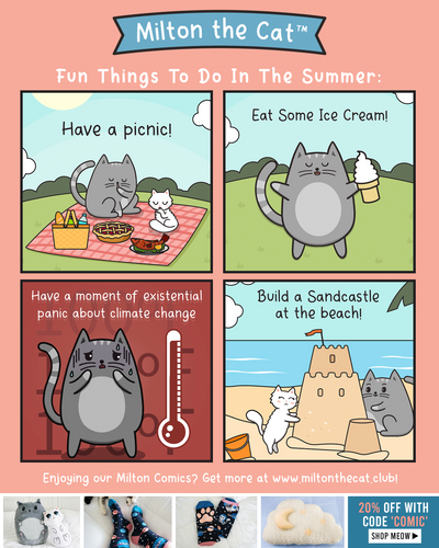 Fun Things To Do In The Summer