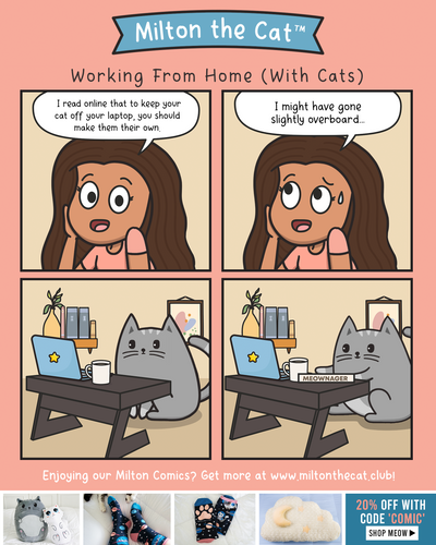 Working From Home (With Cats) Desk Decoy