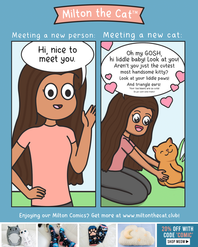 Meeting People Vs Meeting Cats