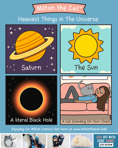 The Heaviest Things in The Universe