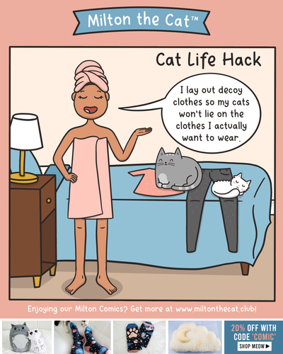 Cat Life Hack: Decoy