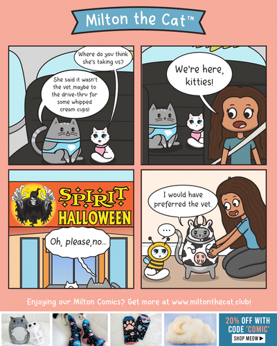 Spirit Halloween Costumes