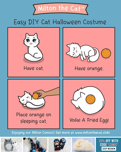 DIY Cat Costume