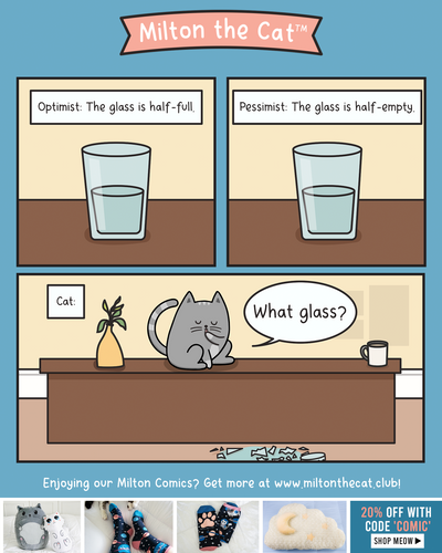 Optimist Vs Pessimist VS Cat