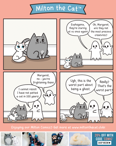 Ghost Struggles