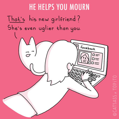 In Case of Breakup, Read These Cat Comics