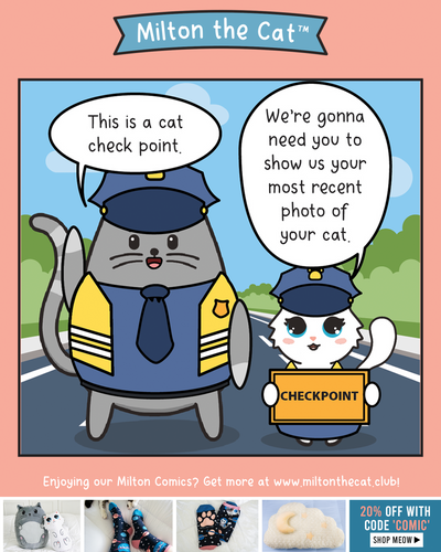 Cat Checkpoint