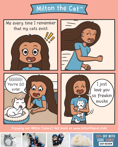 #TBT: When You Remember You Have a Cat