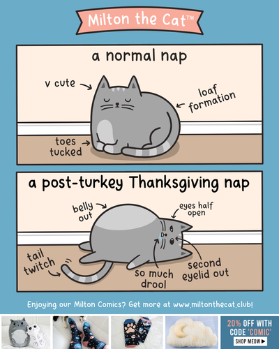 Post-Thanksgiving Feast Nap