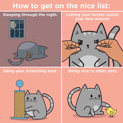 How To Get On The Nice List