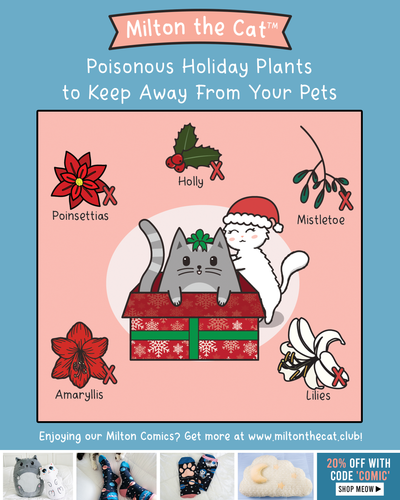Pet Safety PSA: Poisonous Holiday Plants for Pets