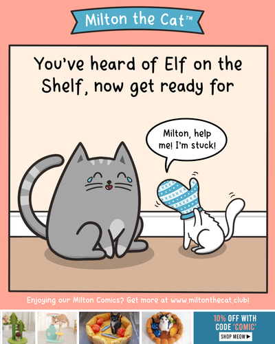 #TBT: Elf On The Shelf, Meet...