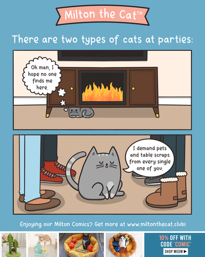 New Year's Party Cats