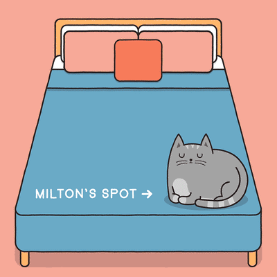 Milton's Spot