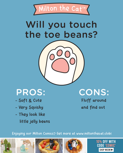 Will You Touch The Toe Beans?