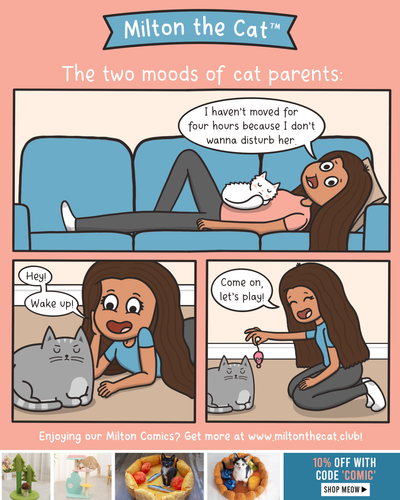 Two Moods of Cat Parents