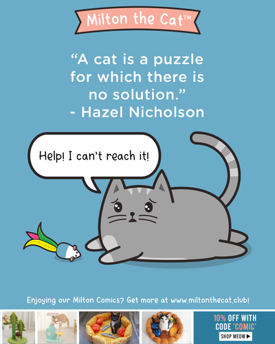Wednesday Wisdom: A Cat Is a Puzzle