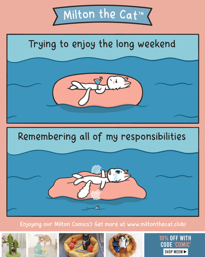 Trying to Enjoy the Long Weekend
