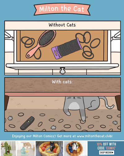 With Cats VS Without Cats: Hair Tie Bandits