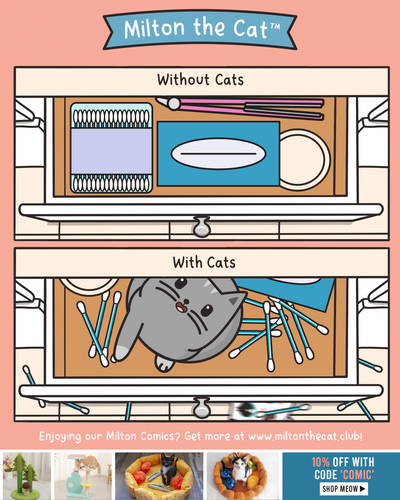 With Cats VS Without Cats: Q-TIPS!