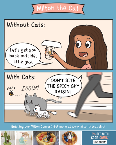With Cats VS Without Cats: Spicy Sky Raisin