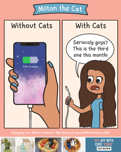 With Cats VS Without Cats: Phone Chargers