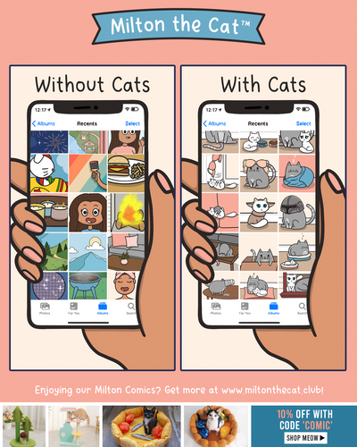 With VS Without Cats: Phone Storage