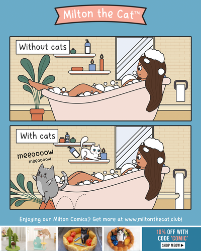 With Cats VS Without Cats