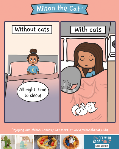 With VS Without Cats: Bedtime