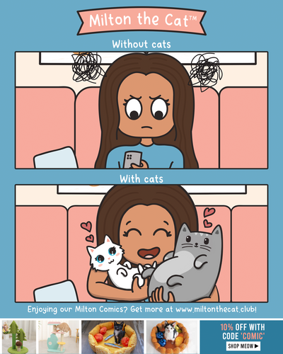 With VS Without Cats: Finale