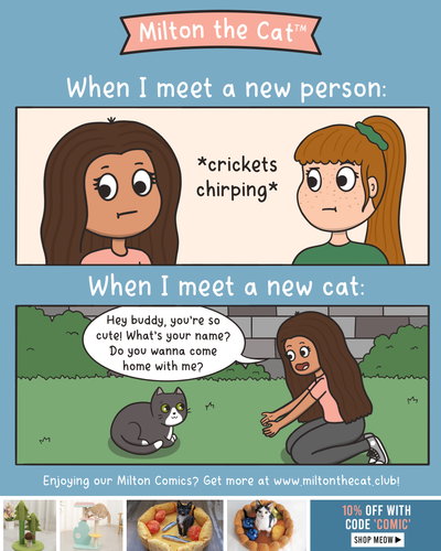 #TBT: It's Because Cats And I Have So Much In Common