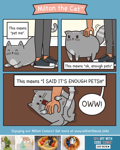 Cat Petting Translation Guide