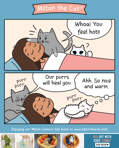 Two Types Of Cats When You're Sick