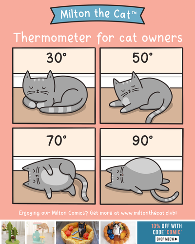 #TBT: Cat Thermometer