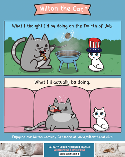 Happy Fourth of July: It's TOO HOT!