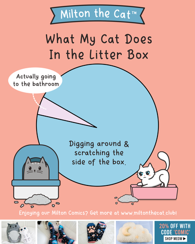 Litter Box Activities