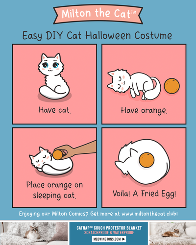 (Simple) DIY Cat Costume