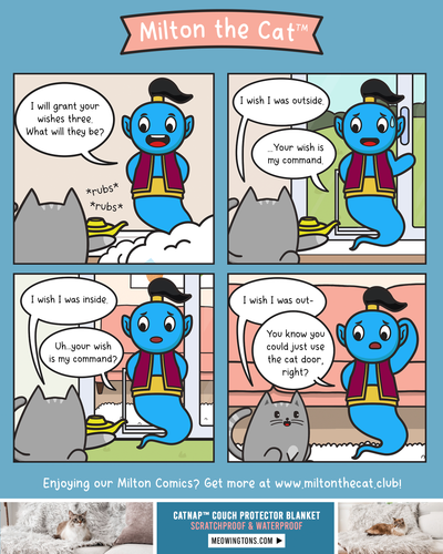 TBT: Indecisive Cats