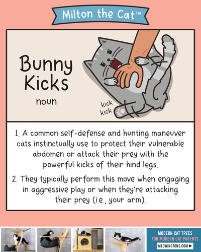 Bunny Kicks