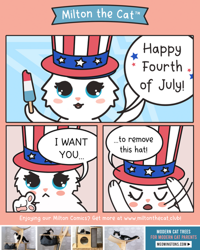 Happy Fourth of July!