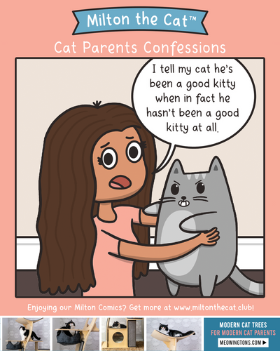 Cat Parent Confessions: Good Kitty